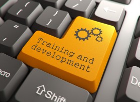 software training